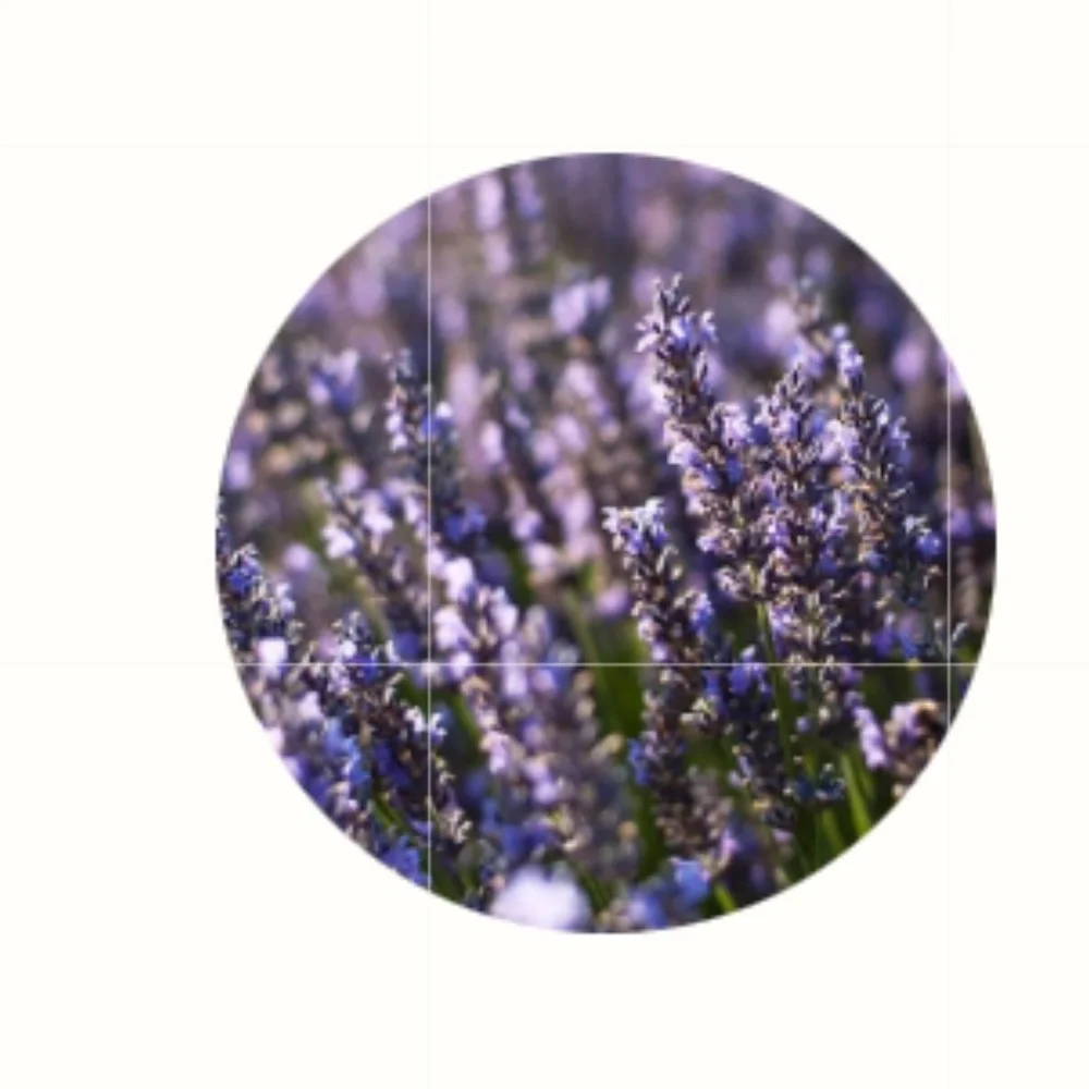 L'Occitane Lavander Foaming Bath